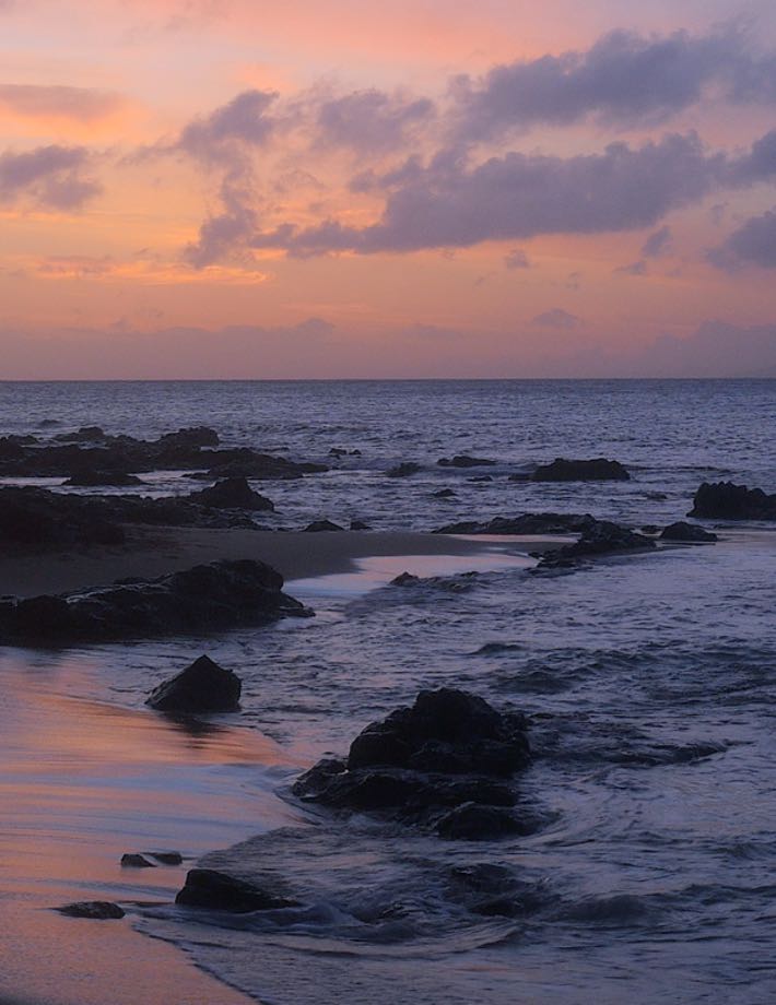 <b>For</b> Lounges & Events